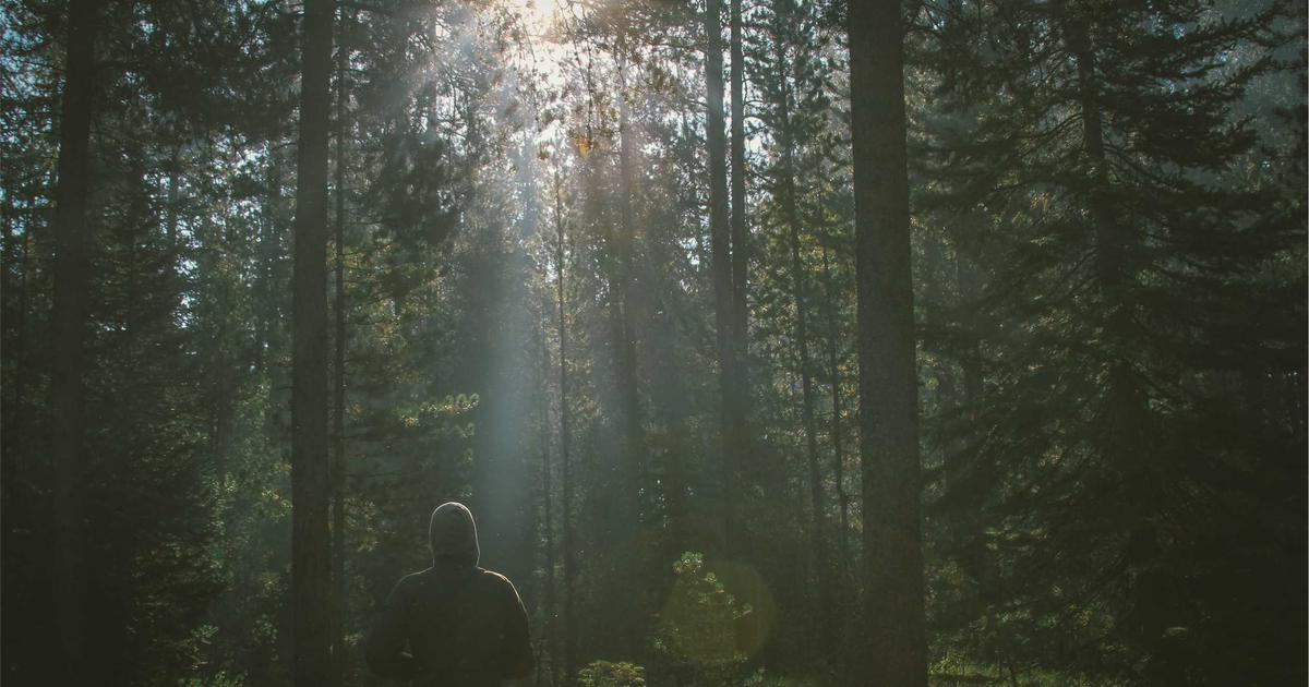 The Lost Signal: A Story of Digital Ghost Hunting