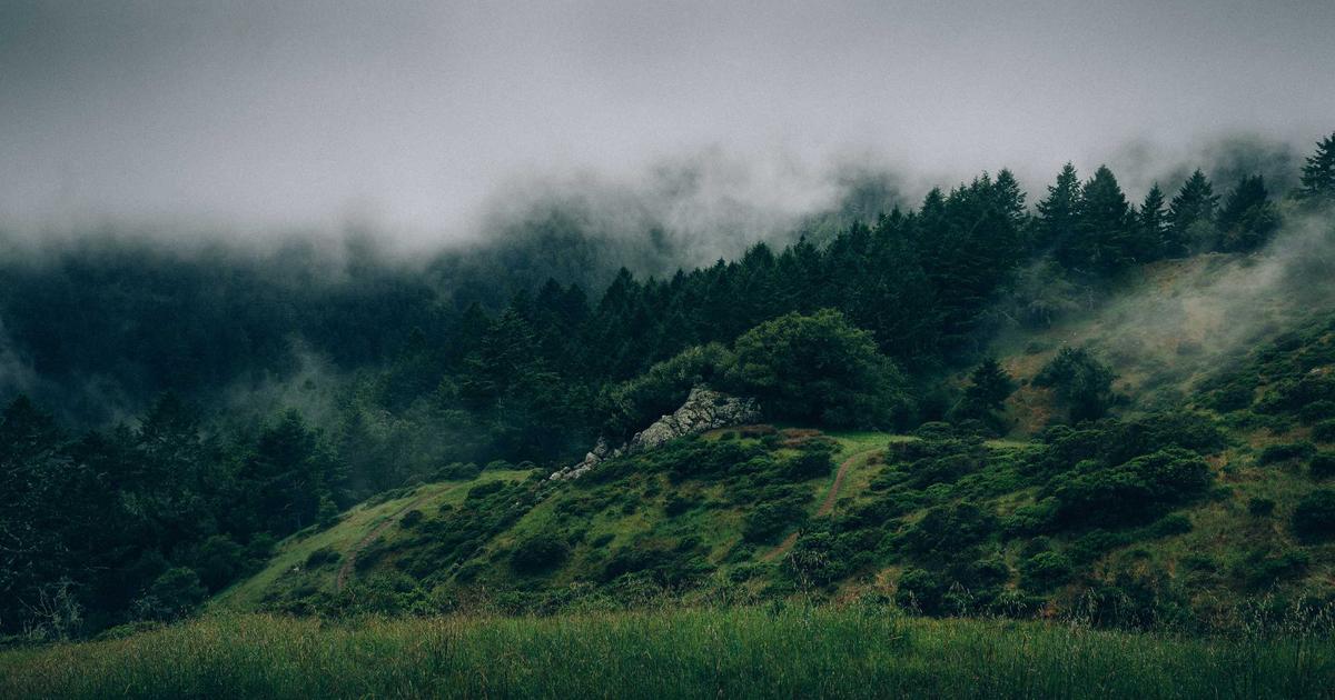 The Quiet Fight: Inside Spotify's Audiobook Ambitions