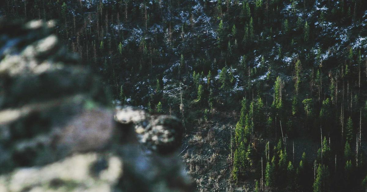 What Nobody Tells You About Clojure's Hidden Power