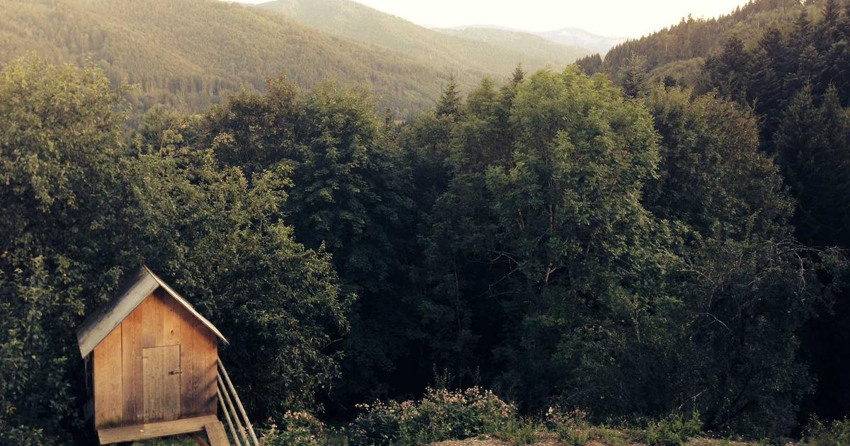 The Day My Roommate Went Mad: A True Story