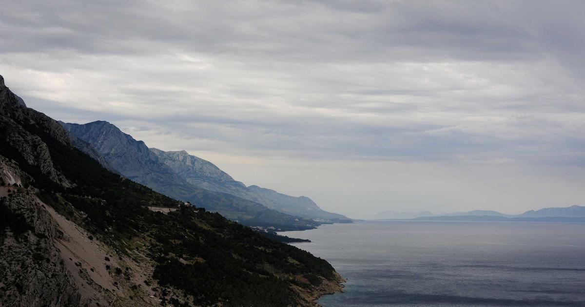 Carbon Offsets: Are They Really Fighting Climate Change?