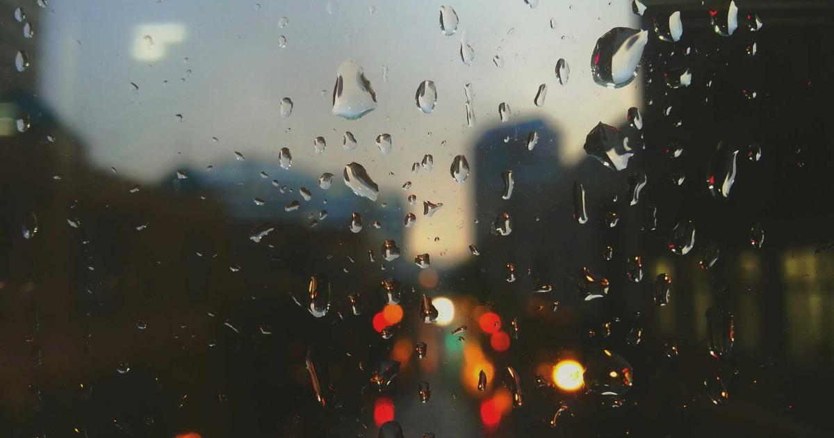 Your Immune System vs. Decades of Dirty Air