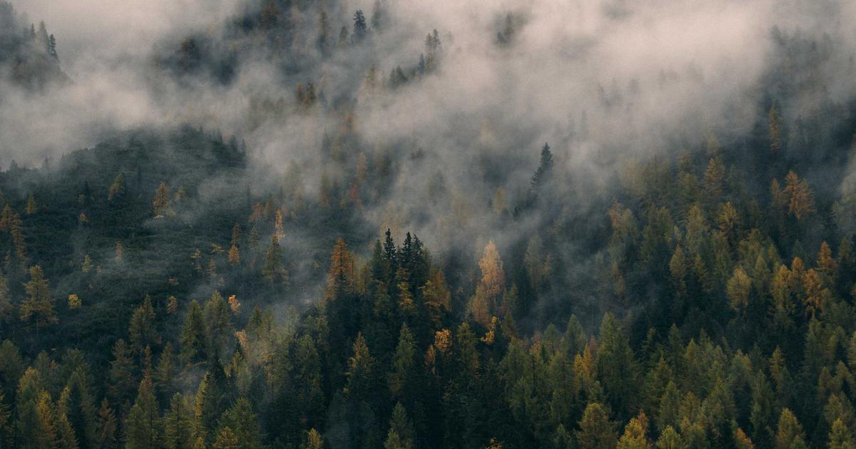 The Ghostly Voice in the Machine: Unpacking AI's Weird Abilities