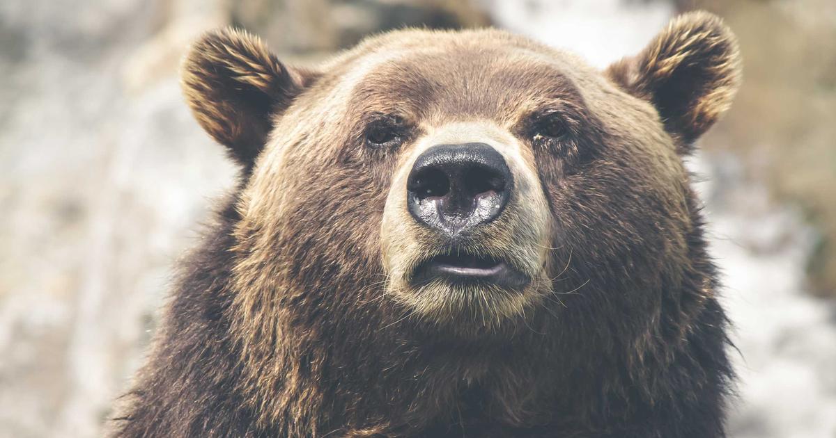 Inside Hurl: The Plain Text Secret to HTTP Testing