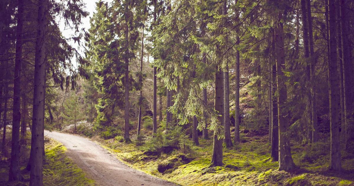 The Strange Truth About Viral Tics: Not Tourette's