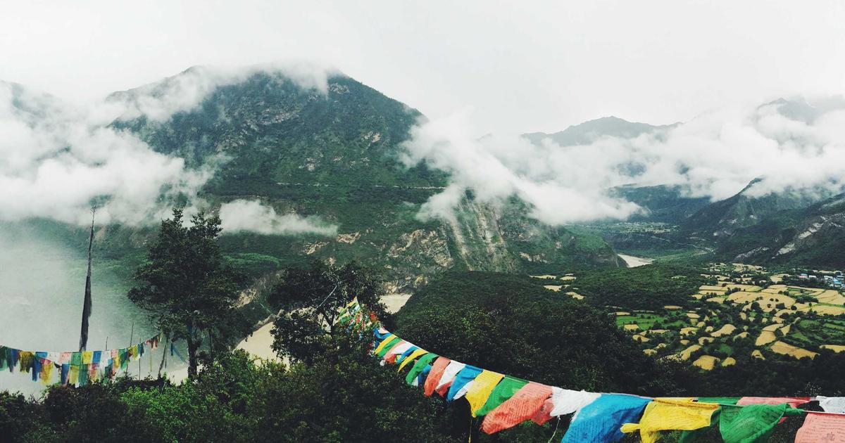 The Viral Post About Quitting Social Media for Newsletters