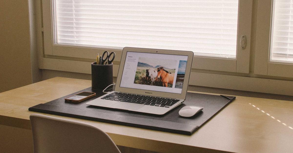 The Secret Digital Library That Refused to Be Deleted