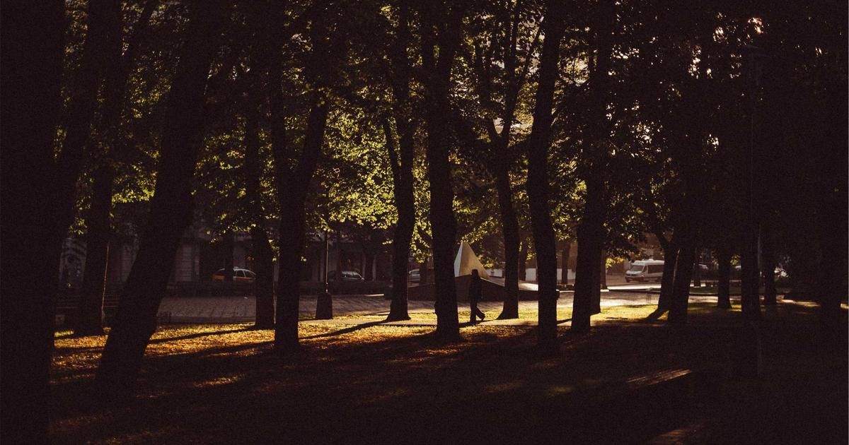 The Strange Story of the 'Is This Real Life?' Guy