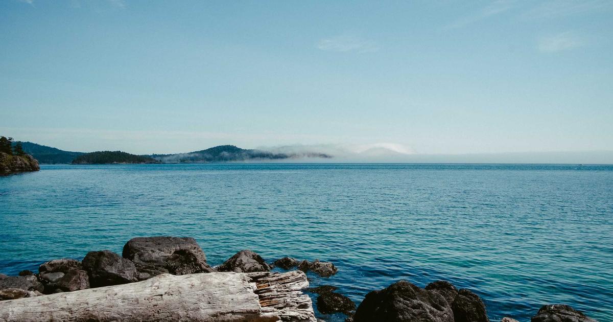 The Strange Story of Markdown Websites