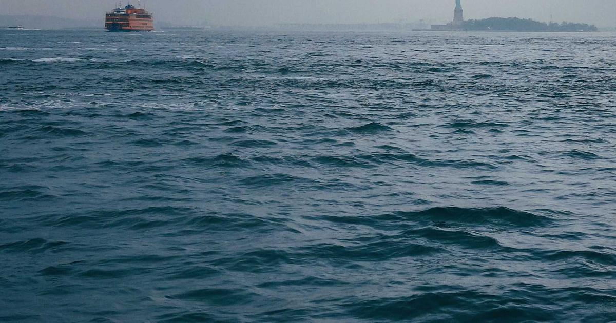 The Strange Story of Apple's 'You Might Also Like' Graphic